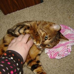 Meet your Posher, Brandy